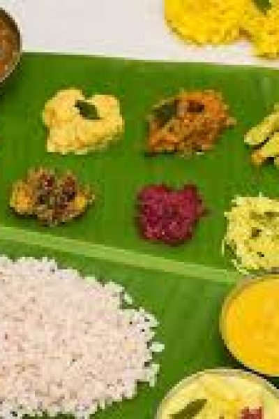 Day 2: From the Mountains to the Mirror Waters of Alleppey