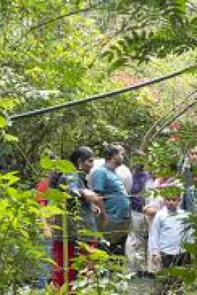 Day 4 Munnar spices plantation Tour