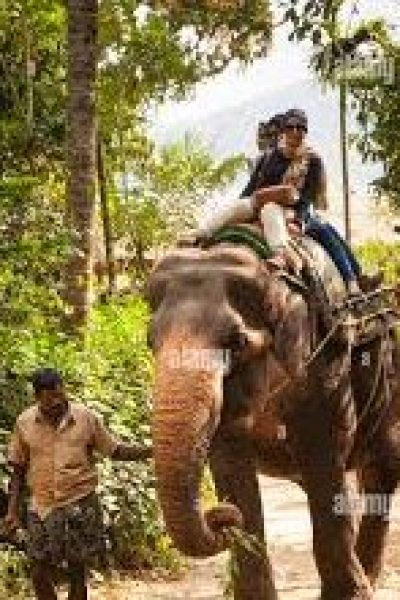 Day 5 Thekkady’s Wild Heart: My Journey Through Elephants, Lakes, and Ancient Traditions